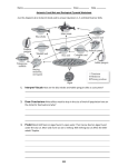 Name Class Date Antarctic Food Web and Ecological Pyramid