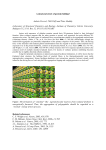 A dead-end street of protein folding