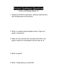 Protein Synthesis Questions