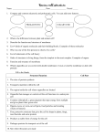 Where is DNA in prokaryotes