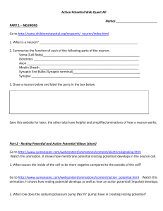 Action Potential Webquest