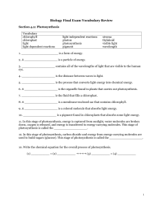 Biology Final Exam Vocabulary Review