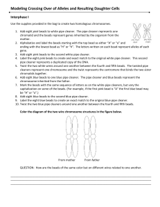 Modeling Crossing Over of Alleles and Resulting Daughter Cells