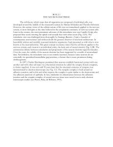 BOX 2.1 THE NEURON DOCTRINE The cell theory, which states