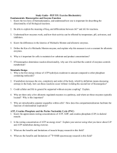 Fundamentals: Bioenergetics and Enzyme Function