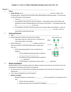 Chapter 11 Notes: Mendelian Genetics