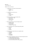 Photosynthesis Test