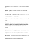 Mitosis Vocab List