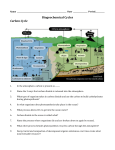 Carbon Cycle