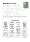 Mark Scheme - Holly Hall Academy