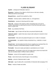 Fluids Glossary