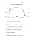 Alternation of Generations Worksheet