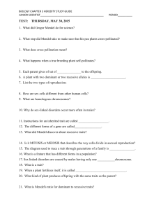 Heredity Study Guide Chapter 3 [4/27/2015]