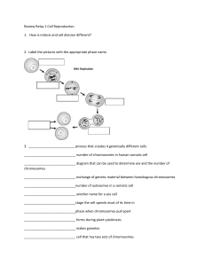 Review Relay 1 Cell Reproduction 1. How is mitosis and cell