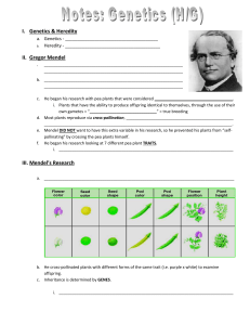 Guided Notes-Genetics