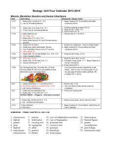 homework - terms: chapter 11