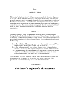 Project II. Meiotic Chromosomal Anomalies