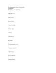 Electromagnetic Waves Test Review