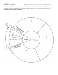 Cell Cycle Diagram