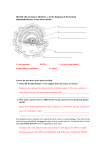 Identify the structures labeled a–e in the diagram of the human