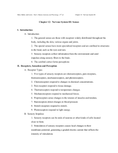 Chapter 12: Nervous System III: Senses