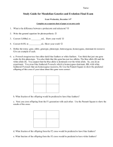 Study Guide for Evolution and Genetics Final Exam