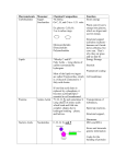 Macromolecule