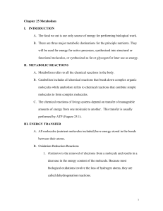 ch25 Metabolism