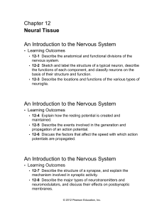 An Introduction to the Nervous System