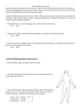 Human Body System Probe