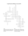 Logan Rayborns Biology CrosswordsM