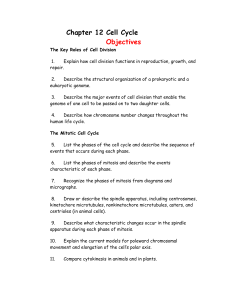 Chapter 12 Cell Cycle