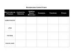 Macromolecules Review Content Frame