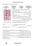 Cell Structure Cloze - Science