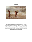 Hominids