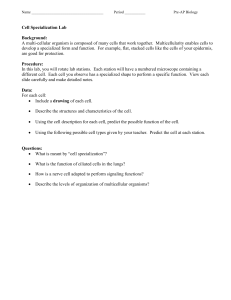 Name Period ______ Pre-AP Biology Cell Specialization Lab
