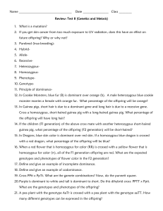 Name Date Class ______ Review: Test 8 (Genetics and Meiosis