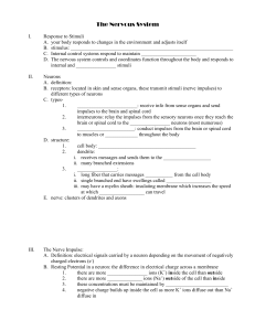 The Nervous System