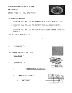 chapter # 4 > cell structure