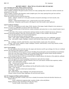 Lab 9- Gas Exchange