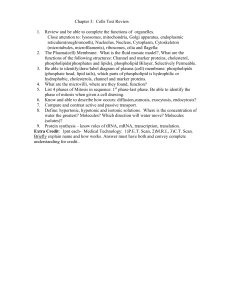 Chp3-Cells_TEST REVIEW