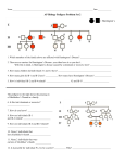 Pedigree Worksheet