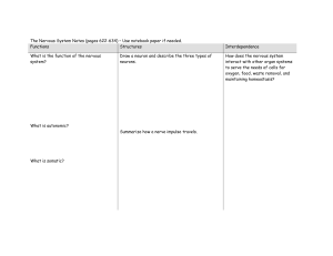 The Nervous System – Use notebook paper if