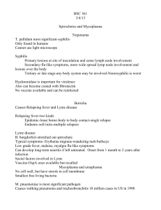 3/1 Spirochetes and Mycoplasma