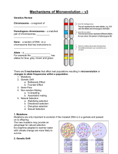 Agents of Evolution - rosedale11universitybiology