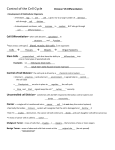 Control of the Cell Cycle Division VS Differentiation • Development
