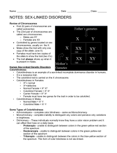 Notes - Sex-Linked Inheritance