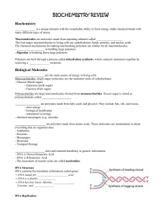 Biochemistry Review Worksheet - CHS Science Department Mrs