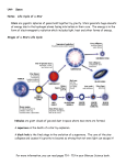 Life Cycle of a Star Notes