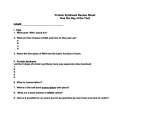 Protein Synthesis Review Sheet